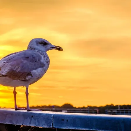 Traveblick Travemuende 뤼베크