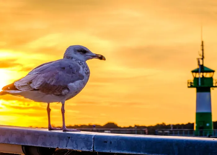 Traveblick Travemuende لوبيك